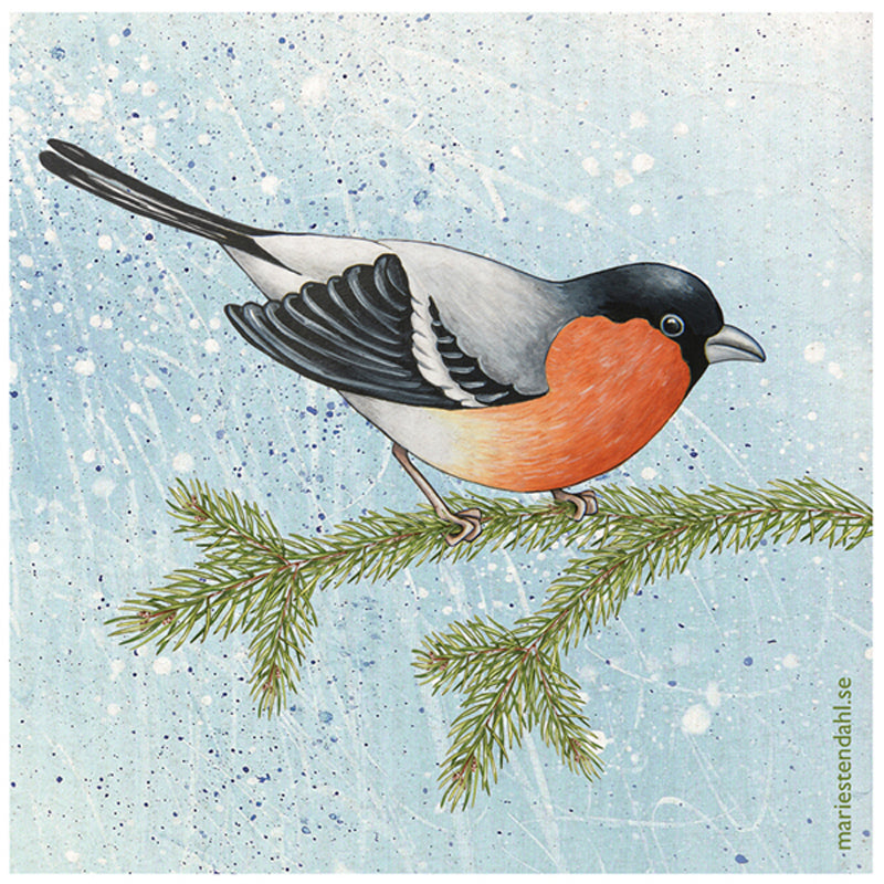 Illustration of a bullfinch bird perched on a green branch against a light blue background.